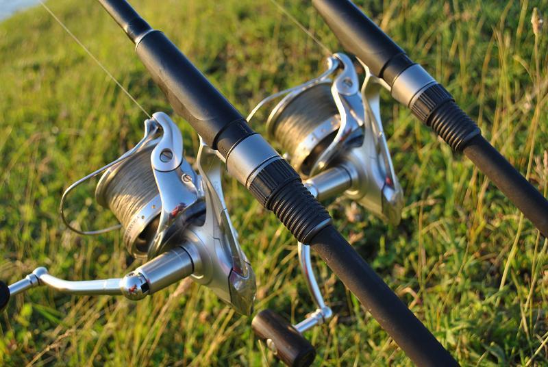 colorata este gata - 1f0c1362-c4fa-416a-8559-bef12dbe6bb3.jpg